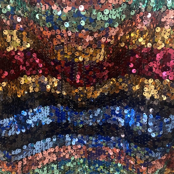 Sequin Skirt - Picture 4 of 4